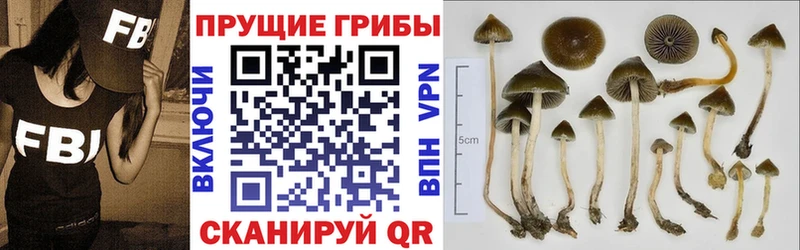 KRAKEN ссылка  Котлас  Галлюциногенные грибы Magic Shrooms 