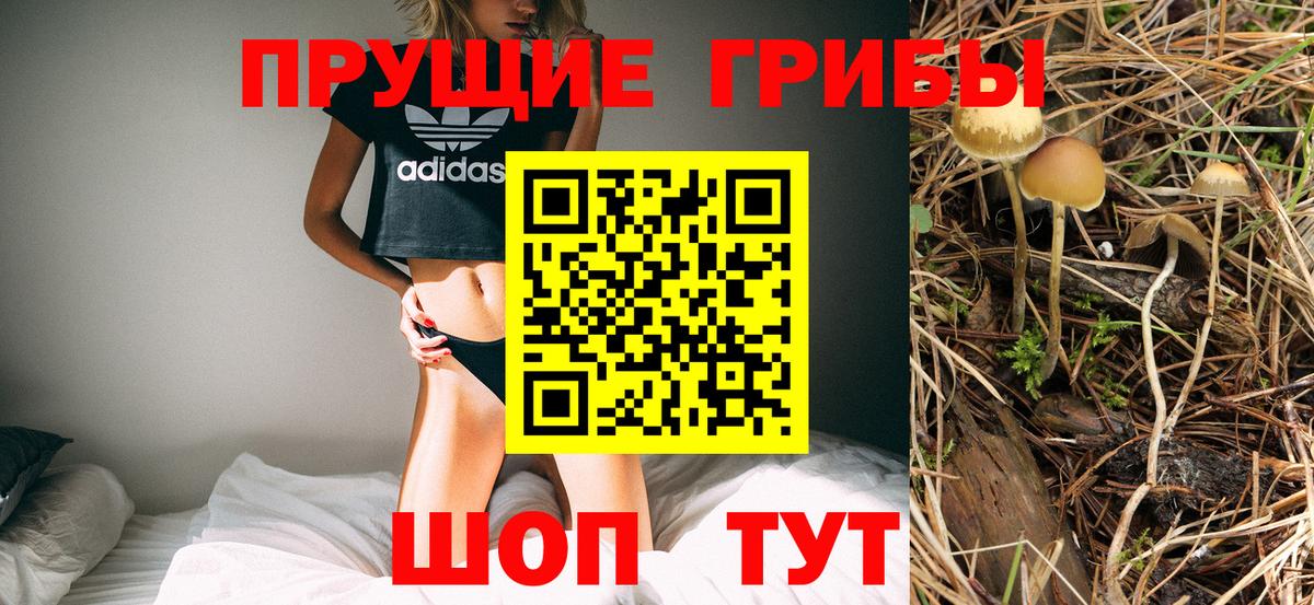 Галлюциногенные грибы Psilocybine cubensis  Котлас 