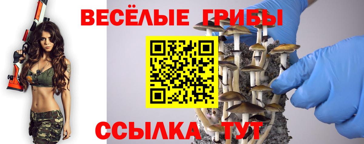 Котлас  Псилоцибиновые грибы Cubensis  Вход с VPN  Галлюциногенные грибы ЛСД 